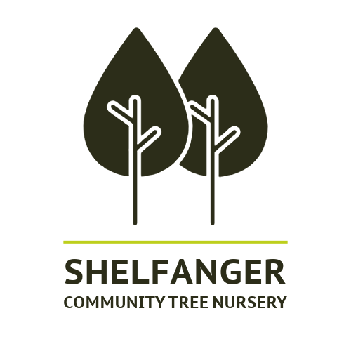 Shelfanger Community Tree Nursery Brand Logo